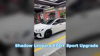 Trumpchi Shadow Leopard 2023 1.5T
